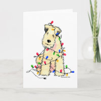 Soft Coated Wheaten Terrier - Christmas