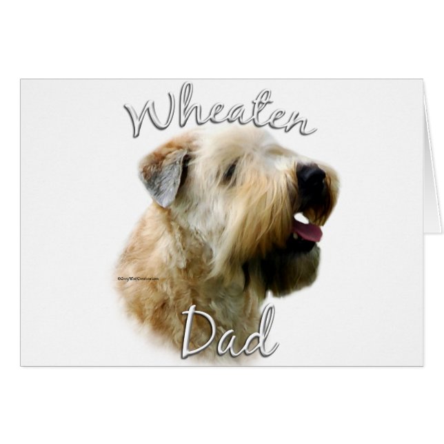 Soft Coated Wheaten Terrier Dad 2 (Front Horizontal)