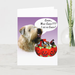 Soft Coated Wheaten Terrier Halloween Candy Card