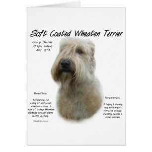 Soft Coated Wheaten Terrier History Design