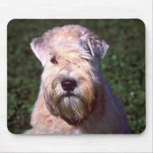 Soft-coated Wheaten Terrier Mouse Mat