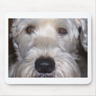 Soft Coated Wheaten Terrier Mouse Mat