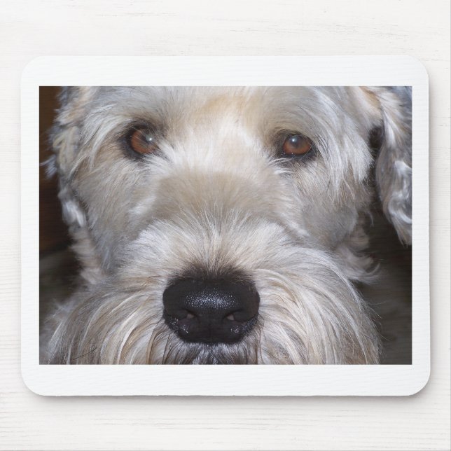 Soft Coated Wheaten Terrier Mouse Mat (Front)