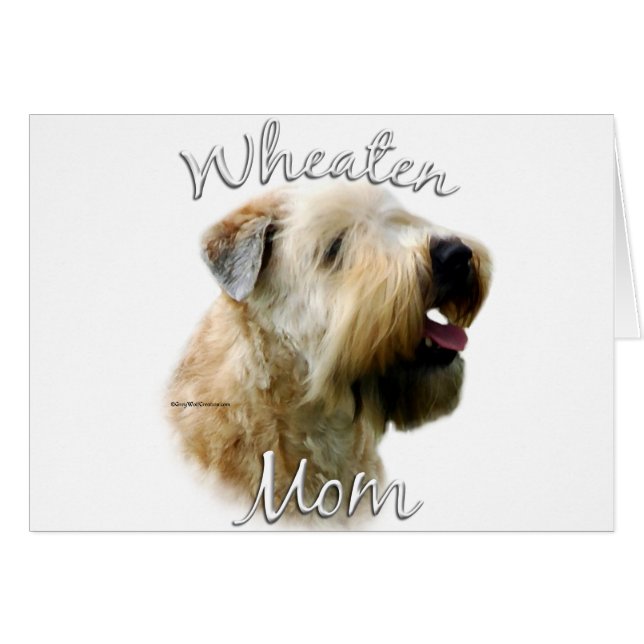 Soft Coated Wheaten Terrier Mum 2 (Front Horizontal)