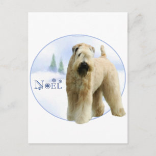 Soft Coated Wheaten Terrier Noel Holiday Postcard