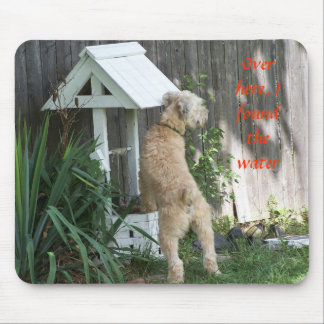 Soft Coated Wheaten Terrier on wishing well Mouse Mat