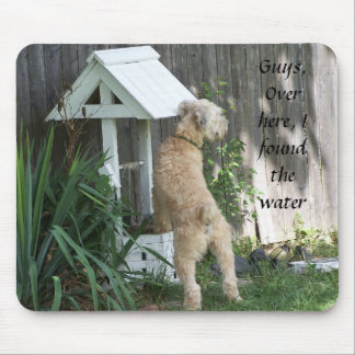 Soft Coated Wheaten Terrier on wishing well Mouse Mat