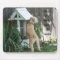 Soft Coated Wheaten Terrier on  wishing well