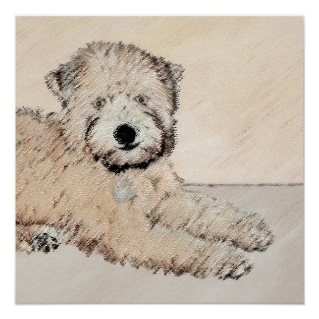 Soft Coated Wheaten Terrier Painting Original Art Poster (Front)