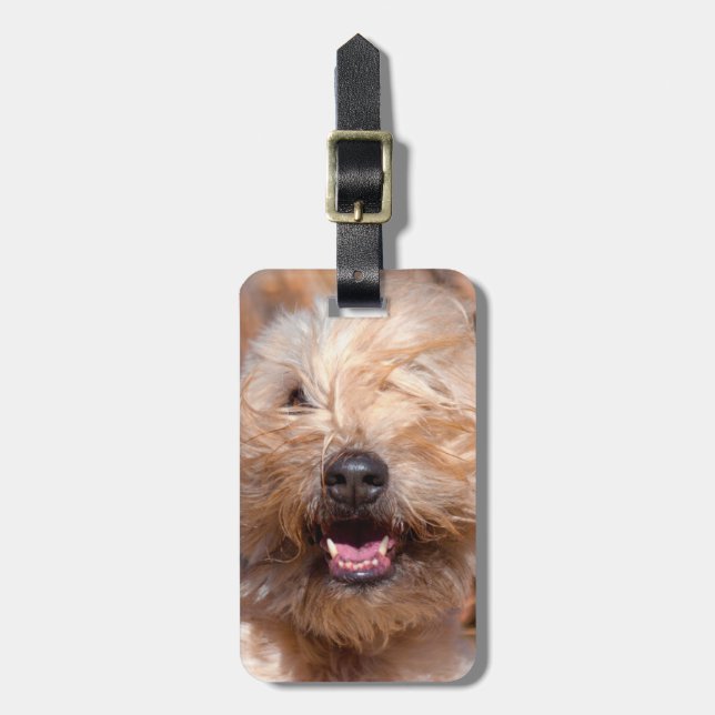 Soft Coated Wheaten Terrier portrait Luggage Tag (Front Vertical)