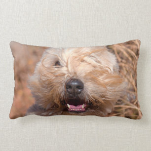 Soft Coated Wheaten Terrier portrait Lumbar Cushion