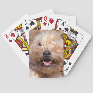 Soft Coated Wheaten Terrier portrait Playing Cards