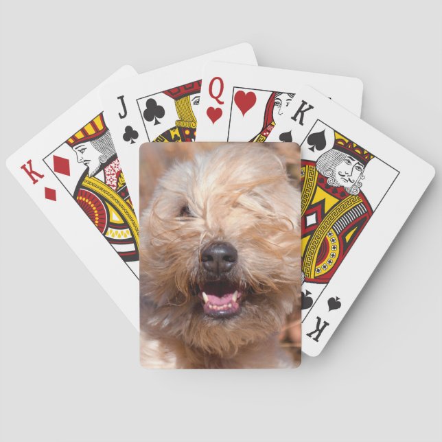 Soft Coated Wheaten Terrier portrait Playing Cards (Back)