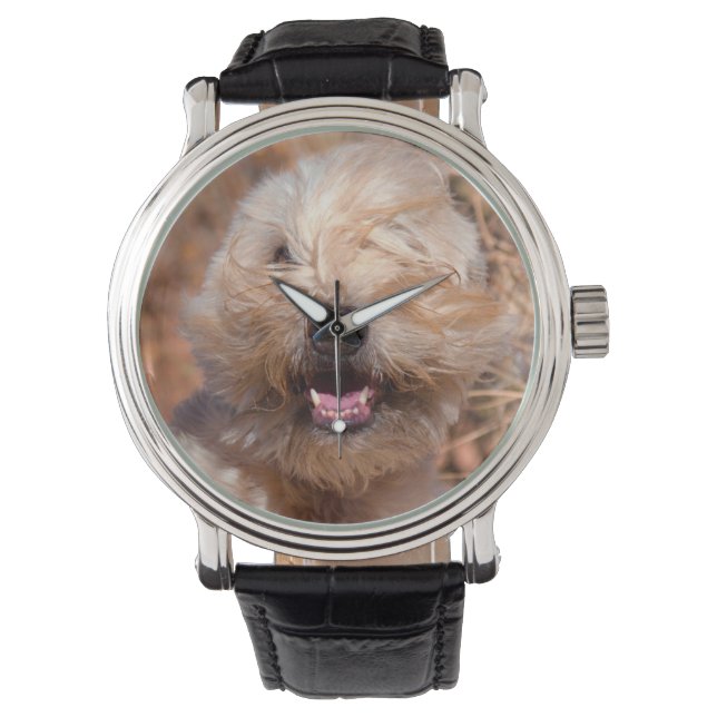 Soft Coated Wheaten Terrier portrait Watch (Front)