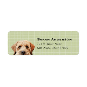Soft Coated Wheaten Terrier Return Address Labels