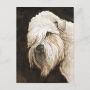 Soft Coated Wheaton Terrier Dog Art Post Card