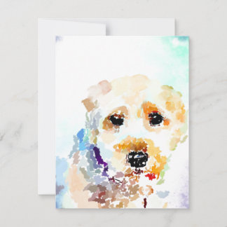 Soft Coated Wheaton Terrier Dog Card