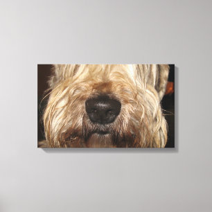 soft coated wheaton terrier.png canvas print