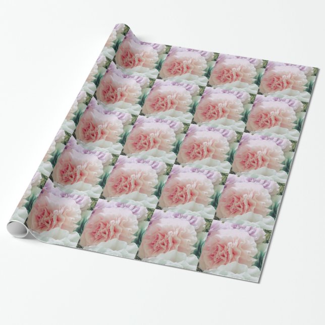Soft Coffee Filter Flowers Wrapping Paper (Unrolled)