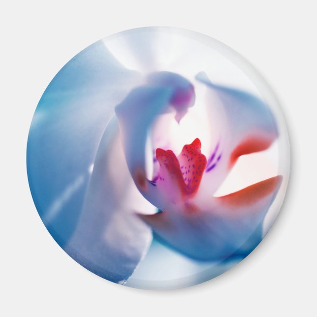 Soft Colours Orchid Print Magnet (Front)