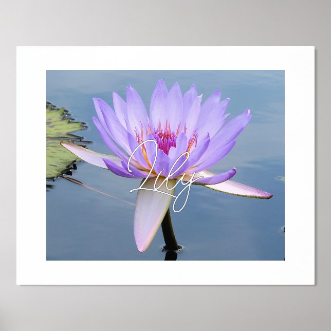 Soft Colours Water Lily Foil Text Print Poster (Front)