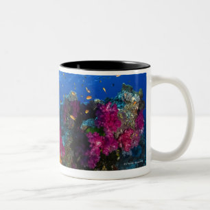 Soft corals on shallow reef, Fiji Two-Tone Coffee Mug