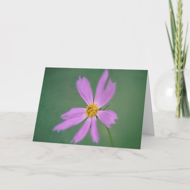 Soft Cosmos Flower Art Card (Front)