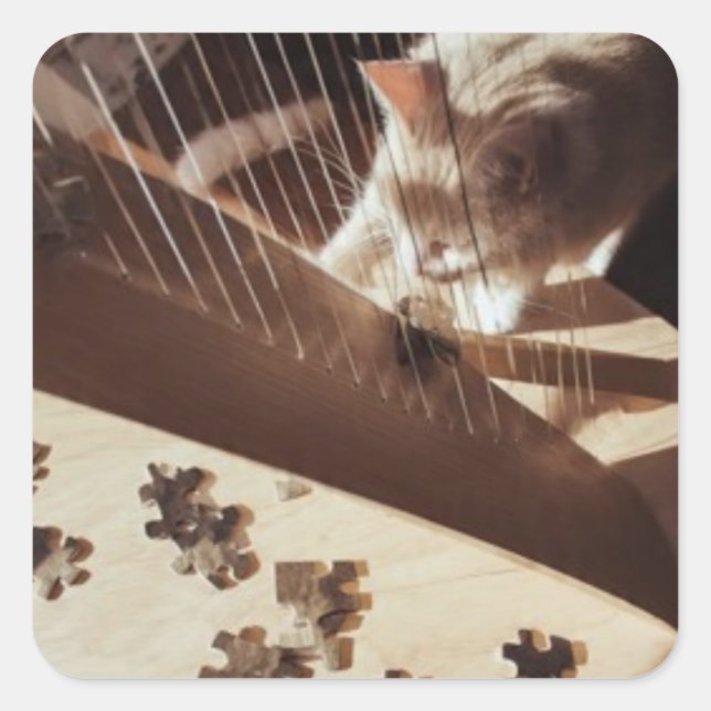 Soft Curiosity Square Sticker (Front)