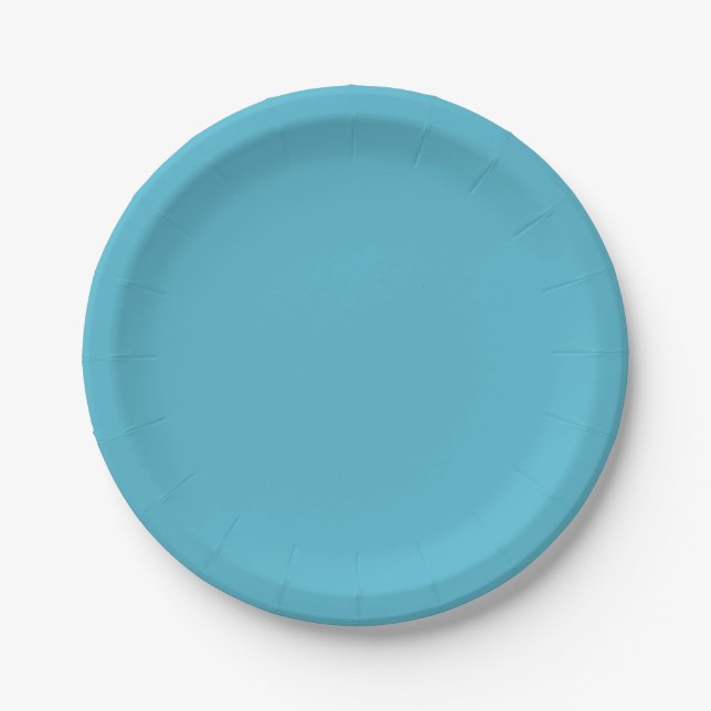 Soft Cyan Paper Plate (Front)