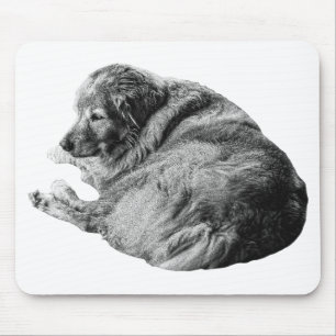 Soft Dog Fur Lifts Calm Winter Workspace Energy Mouse Mat