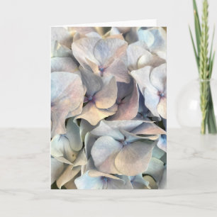 Soft Expressions Blank Card