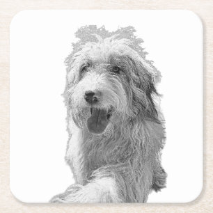 Soft Eyes, Solid Surface – Monochrome Dog Portrait Square Paper Coaster