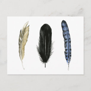 Soft Feathers I Postcard