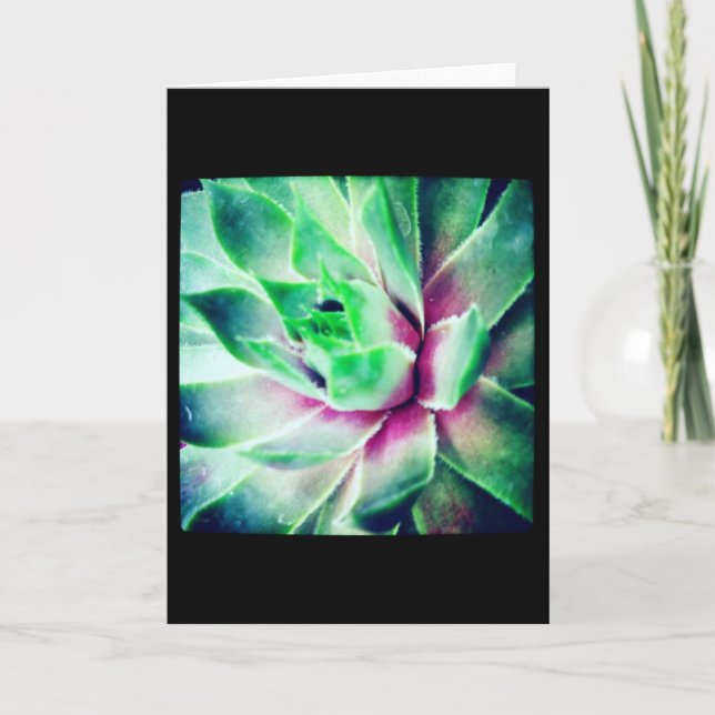 Soft Focus Succulent Blank Greeting Card (Front)