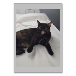 Soft fur, Cat, Adjective Reading Flashcards Table Number