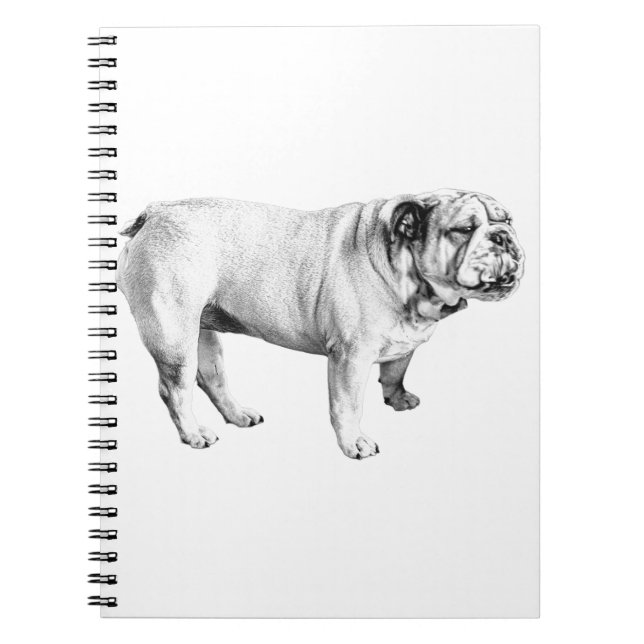 soft gaze note, bulldog notebook (Front)