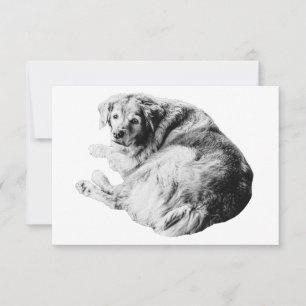 Soft Gratitude, Resting Friend Thank You Card