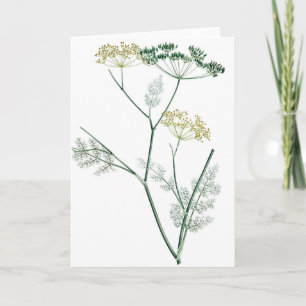 Soft Green Botanical IV Card