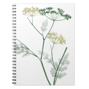 Soft Green Botanical IV Notebook