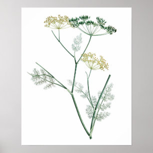 Soft Green Botanical IV Poster