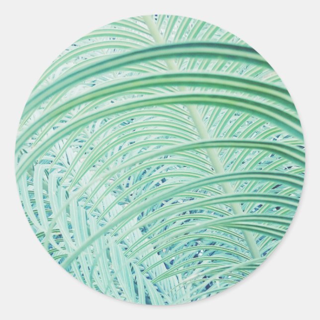 Soft Green Plant Palm Leaf Classic Round Sticker (Front)