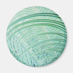 Soft Green Plant Palm Leaf Magnet