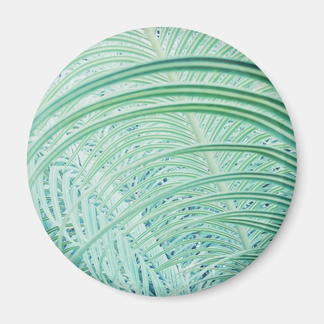 Soft Green Plant Palm Leaf Magnet (Front)