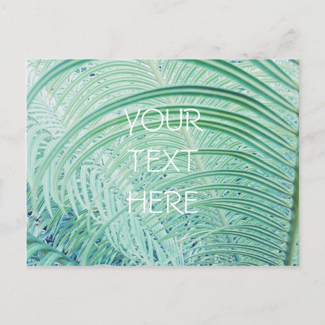Soft Green Plant Palm Leaf Postcard (Front)