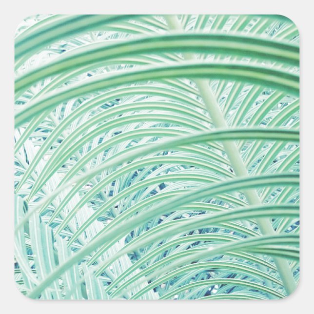 Soft Green Plant Palm Leaf Square Sticker (Front)