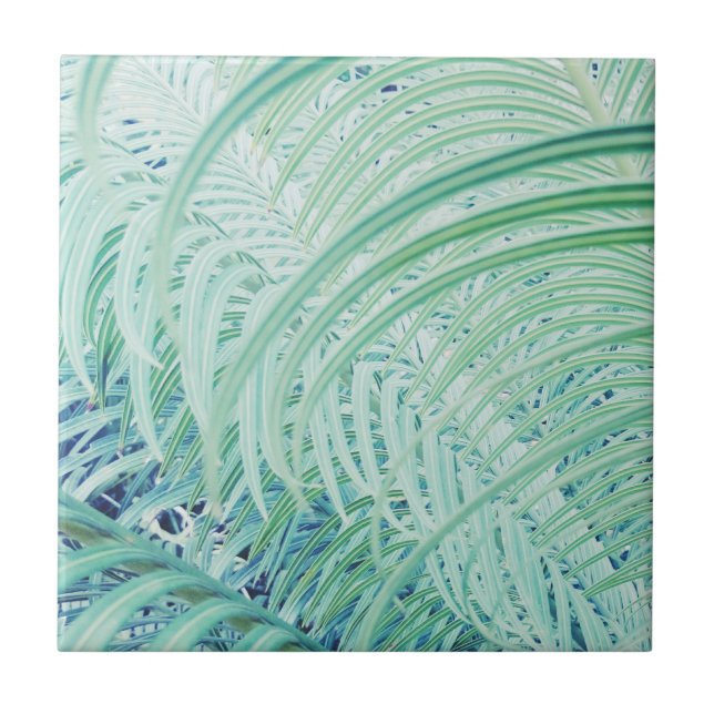 Soft Green Plant Palm Leaves Pastel Tile (Front)