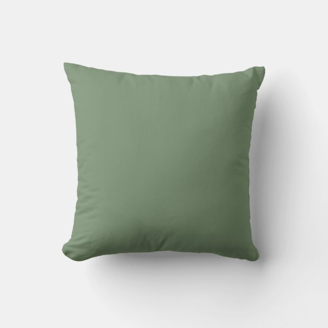 Soft Green Solid Color, Simple,Modern, Trendy Cushion (Front)