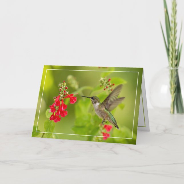 Soft Green Summer Card (Front)