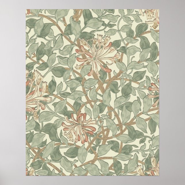 Soft Green Vintage William Morris Honeysuckle Poster (Front)