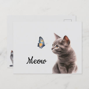 Soft Grey Meow Cat Postcard